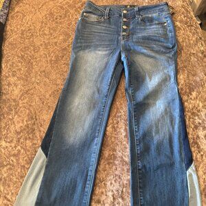 Truce Panel Jeans